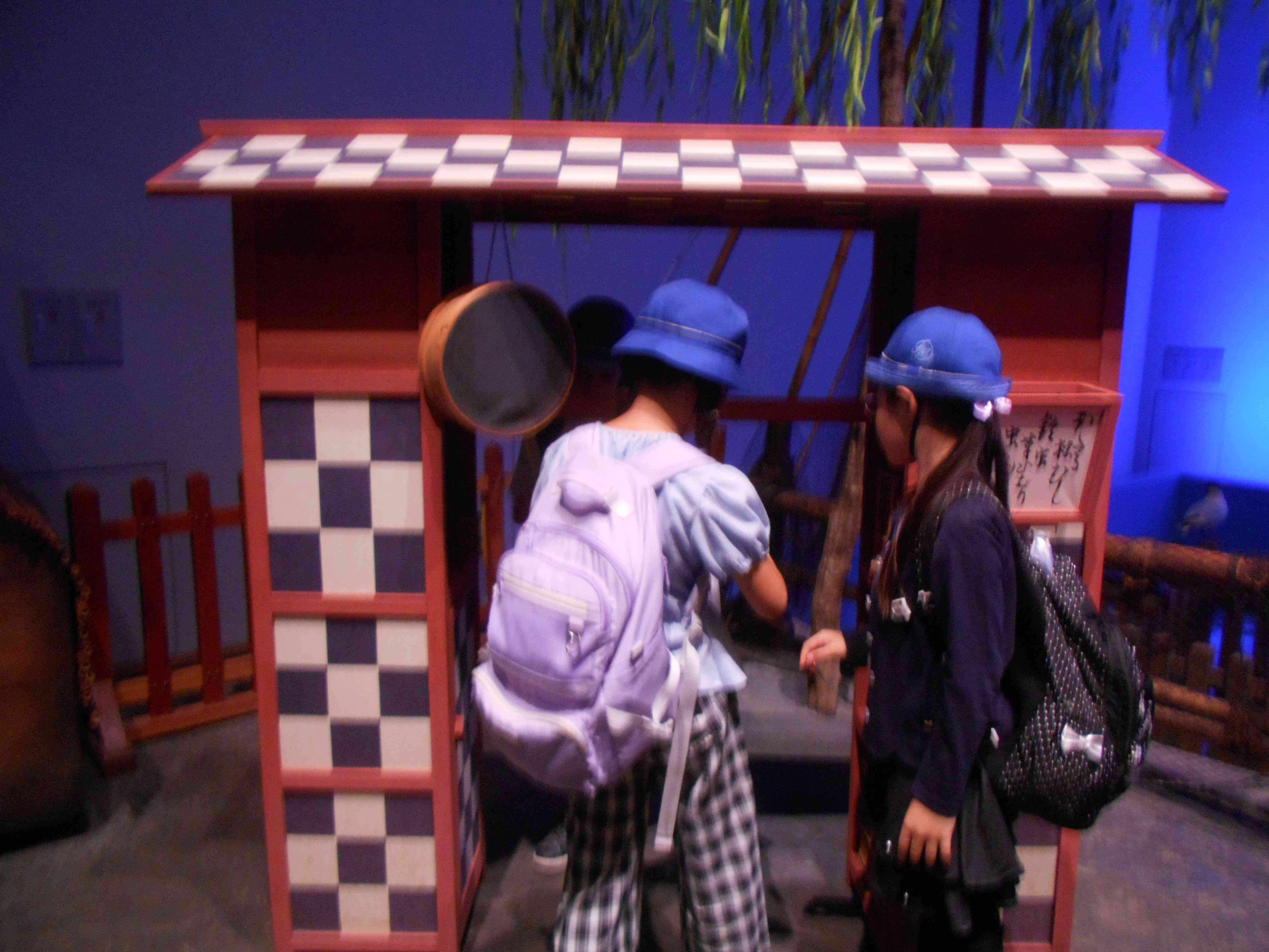 DSCN5048